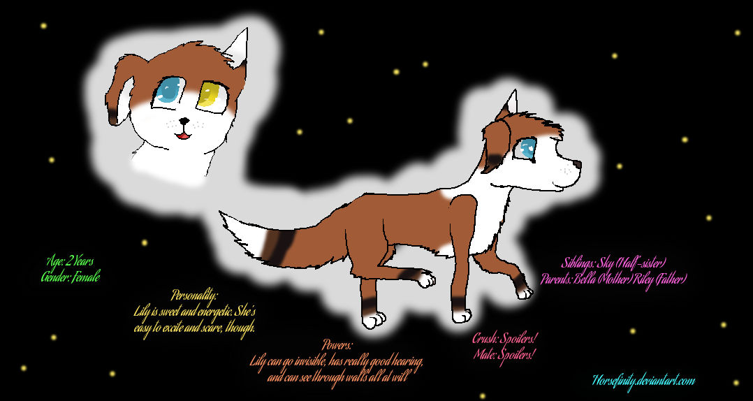 Lily - Updated Reference Sheet by Horsefinity on DeviantArt