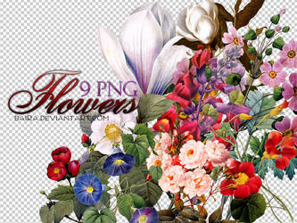 PNG Flowers