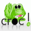 Croc - V2