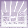Curled Sun Stripes Brushes