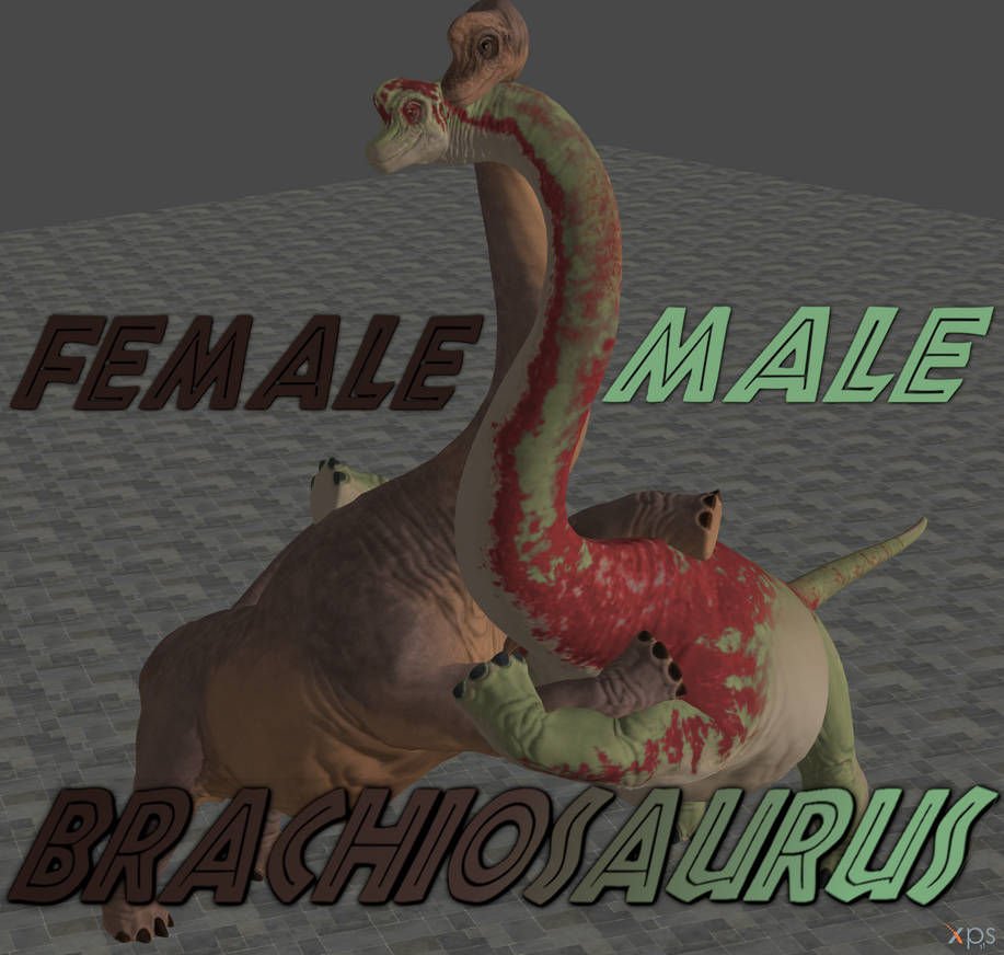 brachiosaurus evolution