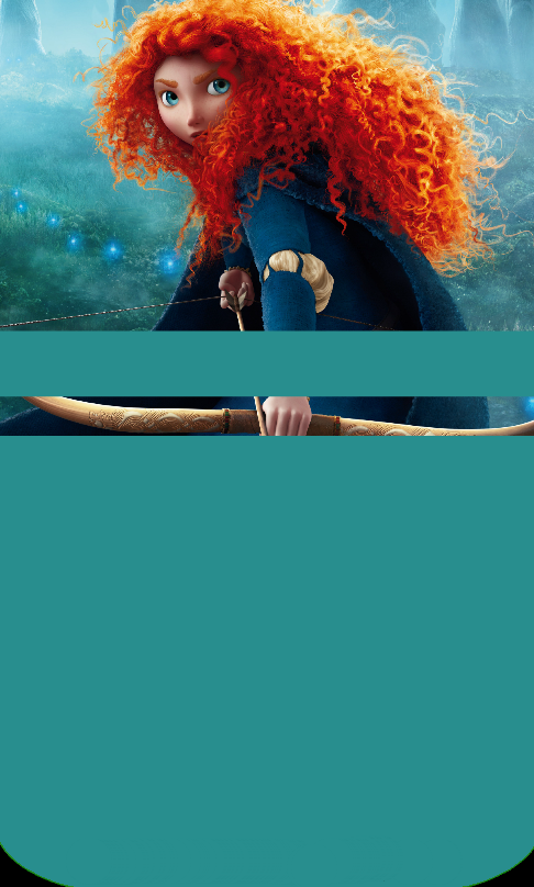 Merida Journal Skin