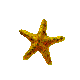Blinking Gold Star by allison731