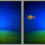 Underwater Backgrounds