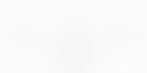VS Cursors 21.0