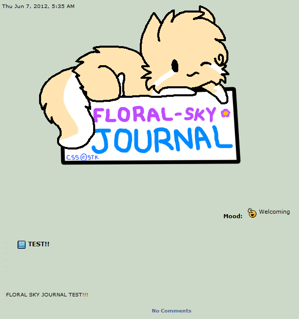 Floral-Sky's Journal skin(RAFFLE)