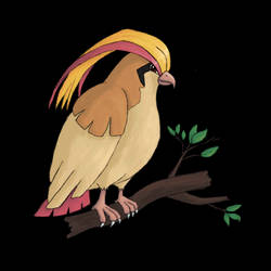 Muro - Pidgeot