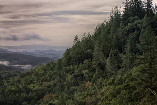 Hillside and Sky, Angwin, CA