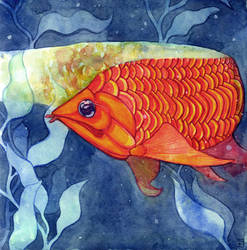 Arowana