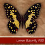 Lemon Butterfly PSD