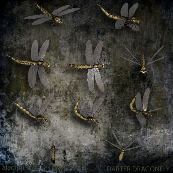 Dragonfly PNG Stock Pack