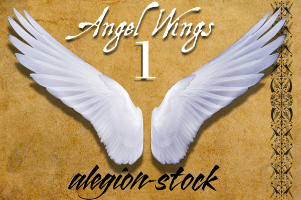 Angel Wings 1 PNG Stock