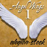 Angel Wings 1 PNG Stock