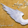 Angel Wings 2 PNG Stock