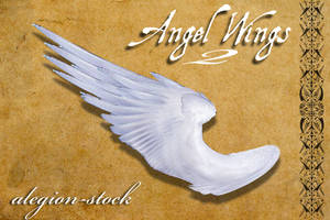 Angel Wings 2 PNG Stock