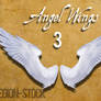 Angel Wings 3 PNG Stock