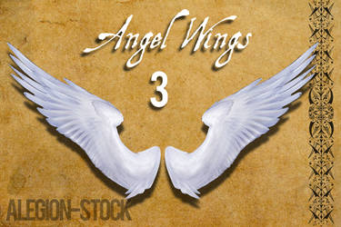 Angel Wings 3 PNG Stock