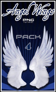 Angel Wings 4 PNG Stock