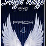 Angel Wings 4 PNG Stock