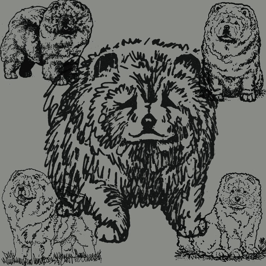 Chow chow brushes by carolyndewrance on DeviantArt