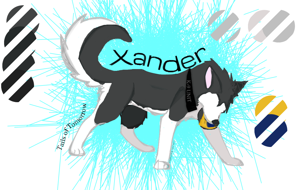 Xander Ref. Sheet