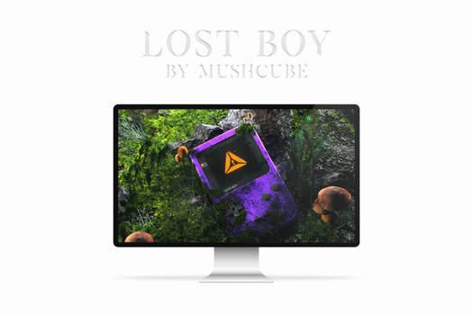 Lost Boy