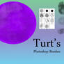 Turt's Brush Set