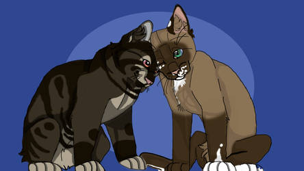 darkpaw and wolf