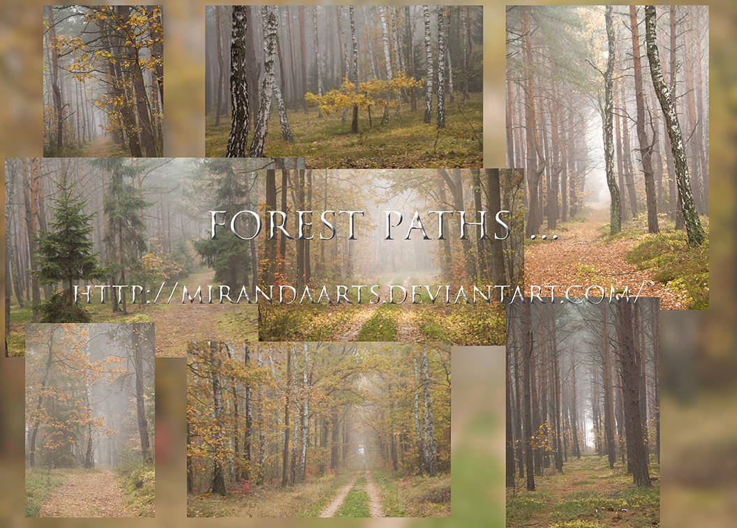 forest paths ... by mirandaarts on DeviantArt
