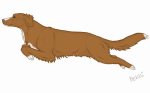 Bouncy Toller by Cutewolf