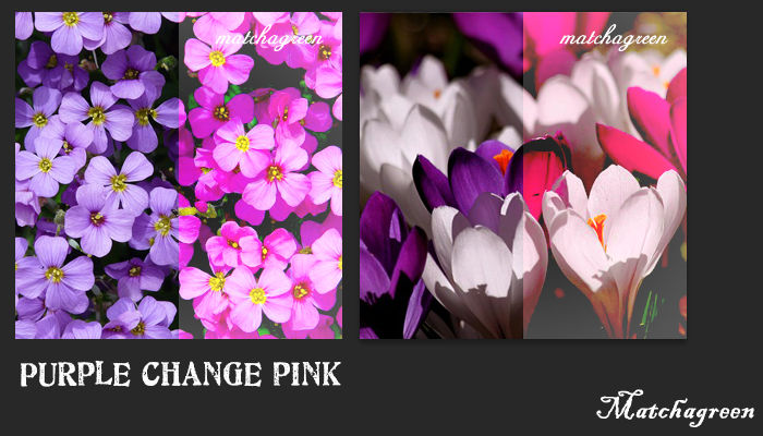 Psd Purple change Pink #03 by Matchagreen on DeviantArt