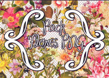 Pack Flores PNG