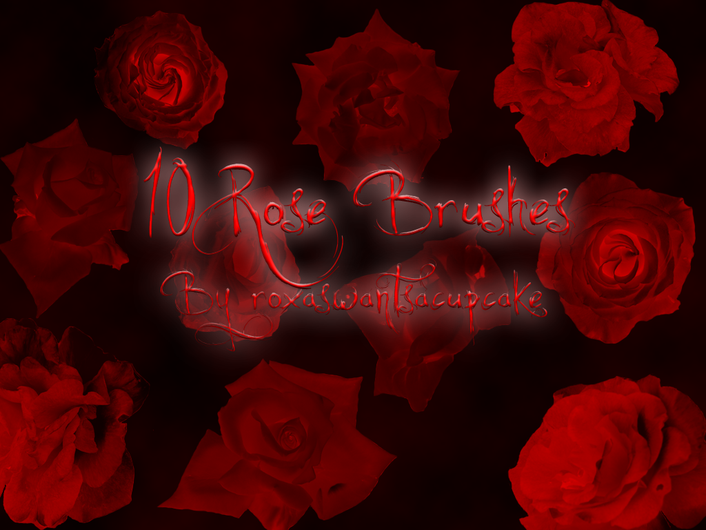 Rose Brushes by roxaswantsacupcake