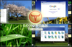 Longhorn Transition