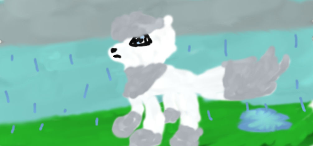 Wolf in the rain by KxtelynRays on DeviantArt