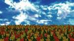 Tulip stage(bicoloured) by ketokeas
