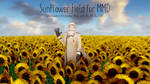 Sunflower Field [MMD DL] by ketokeas