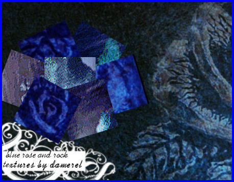 Textures - blue rose and rock