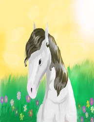 Horse Drawing