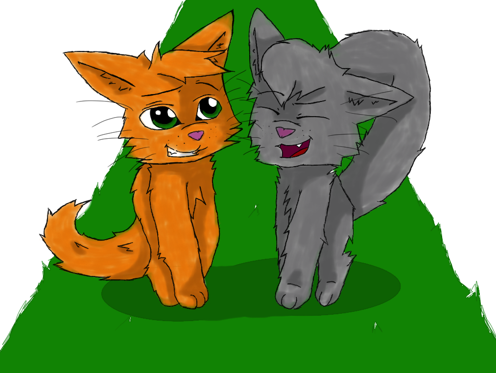 Firepaw and Graypaw by AveryMar on DeviantArt