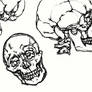 Thoughtless Skull Drawings