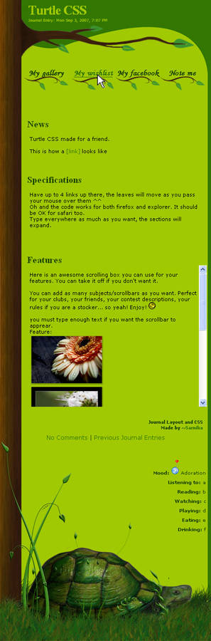 Turtle complete CSS journal