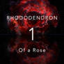 Rhododendron, Episode 1 - Of a Rose