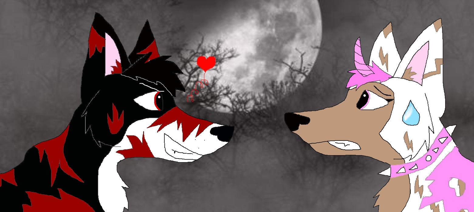 Fman Animal Jam Fman Animal Jam