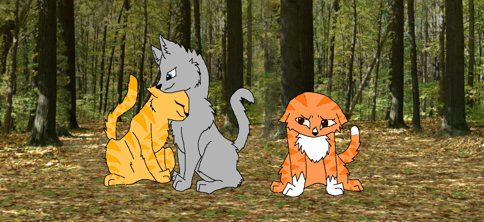 Clear sky, Star flower, and Thunder by warriorcat-twd-aj on DeviantArt