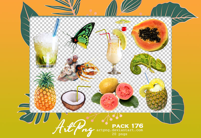 PNG PACK 176 by ARTPNG on DeviantArt