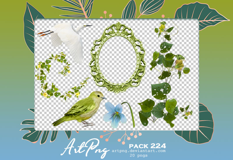 PNG PACK 224 by ARTPNG on DeviantArt