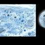 Cell planet 033018A ice planet