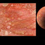 Red Cell planet 032818