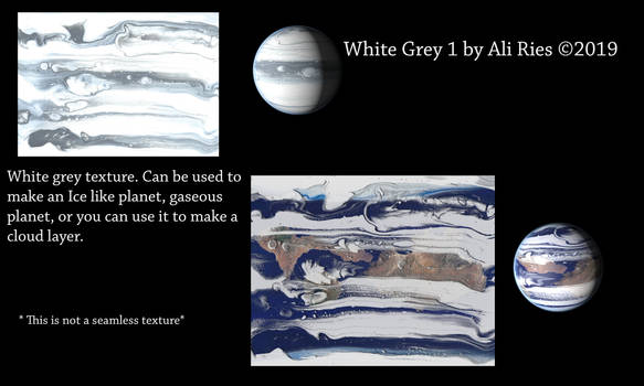White Grey 1 by Ali Ries 2019